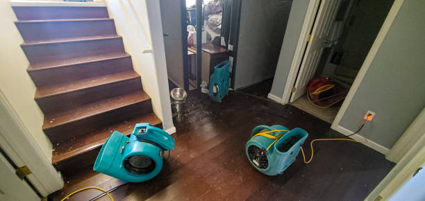 Best Local water damage restoration  in River Grove, IL