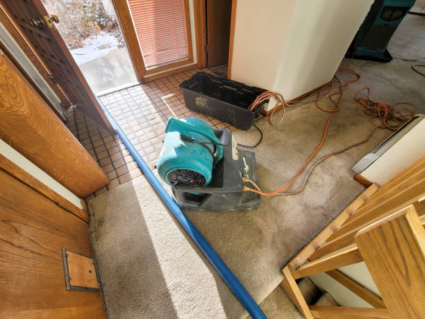 Best Fire Damage Restoration  in River Grove, IL
